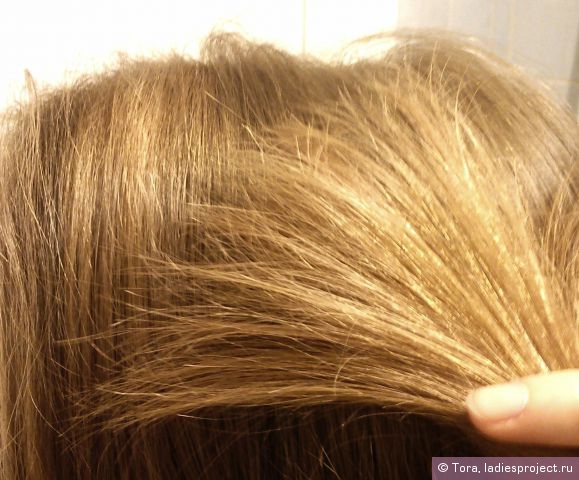 Масло-уход Schauma для сухих и поврежденных волос от Schwarzkopf фото 1 Масло-уход Schauma для сухих и поврежденных волос от Schwarzkopf фото 1