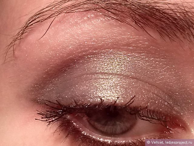Тени для век Color Riche (оттенок № E5 Smoky Velours Noir) от L'Oreal фото 6 Тени для век Color Riche (оттенок № E5 Smoky Velours Noir) от L'Oreal фото 6