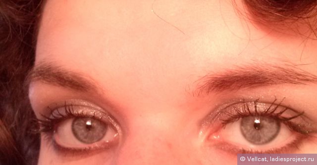Тени для век Color Riche (оттенок № E5 Smoky Velours Noir) от L'Oreal фото 8 Тени для век Color Riche (оттенок № E5 Smoky Velours Noir) от L'Oreal фото 8