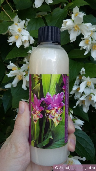 Гель для душа Cardamon & white tea от Fresh line фото 4 Гель для душа Cardamon & white tea от Fresh line фото 4