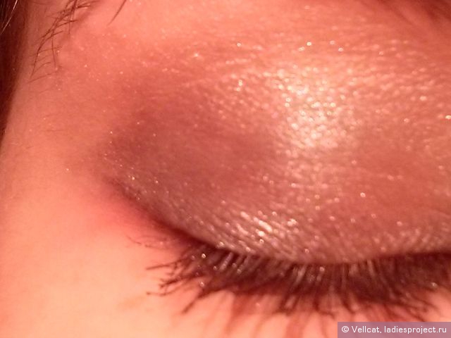 Тени для век Color Riche (оттенок № E5 Smoky Velours Noir) от L'Oreal фото 5 Тени для век Color Riche (оттенок № E5 Smoky Velours Noir) от L'Oreal фото 5