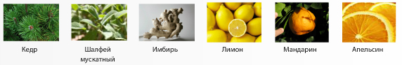 Ароматерапевтический гель для душа Calipso от Fresh Line фото 2