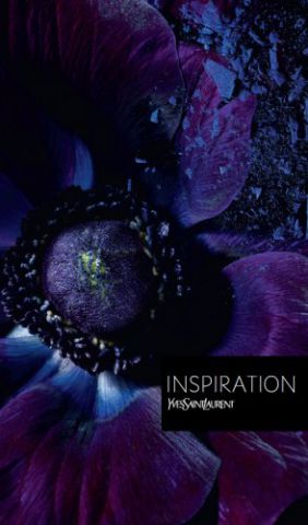 Осенняя коллекция макияжа 2011 Yves Saint Laurent Fall Look 2011 - Jardin de Minuit  фото 3