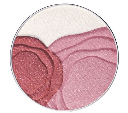 Осенняя новинка от Shiseido: Camellia Compact фото 5 Осенняя новинка от Shiseido: Camellia Compact фото 5