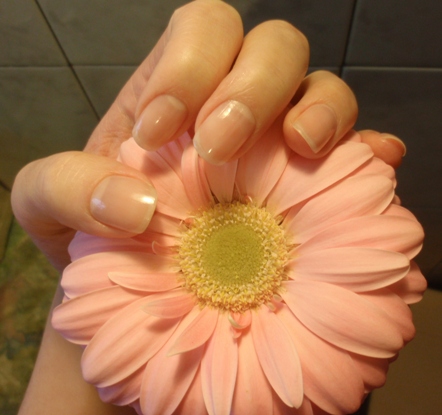 Укрепляющая ногти основа под цветной лак "Крепкие как сталь ногти" от Nail System фото 3