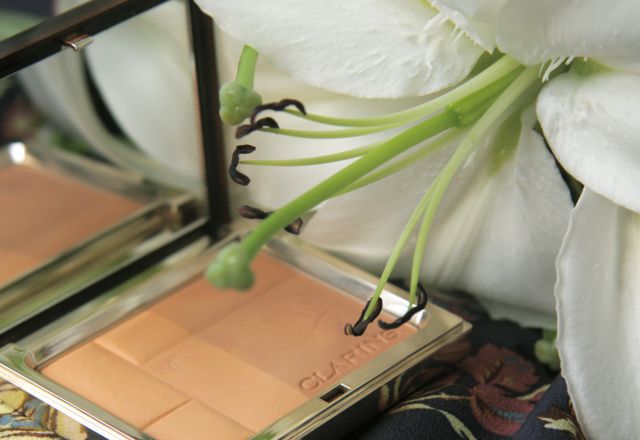 Бронзирующая пудра Mineral Bronzing Duo SPF 15 (оттенок 01) от Clarins фото 2