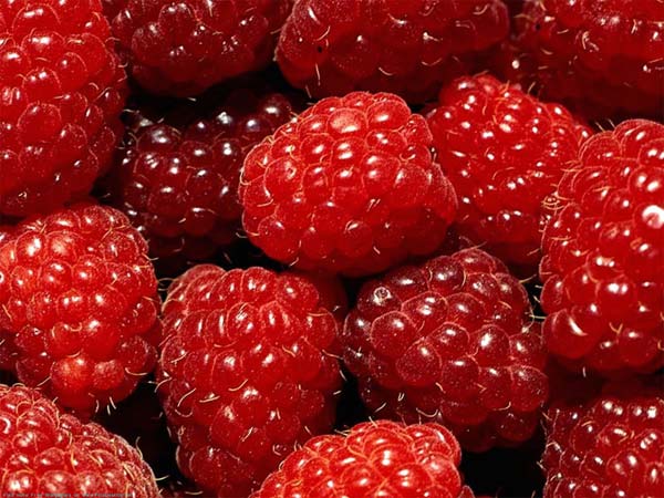 Батл бальзамов для тела от Aquafruit фото 2