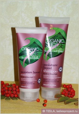 Шампунь для увлажнения волос Moisture Boost Shampoo от Organic Surge фото 1 Шампунь для увлажнения волос Moisture Boost Shampoo от Organic Surge фото 1